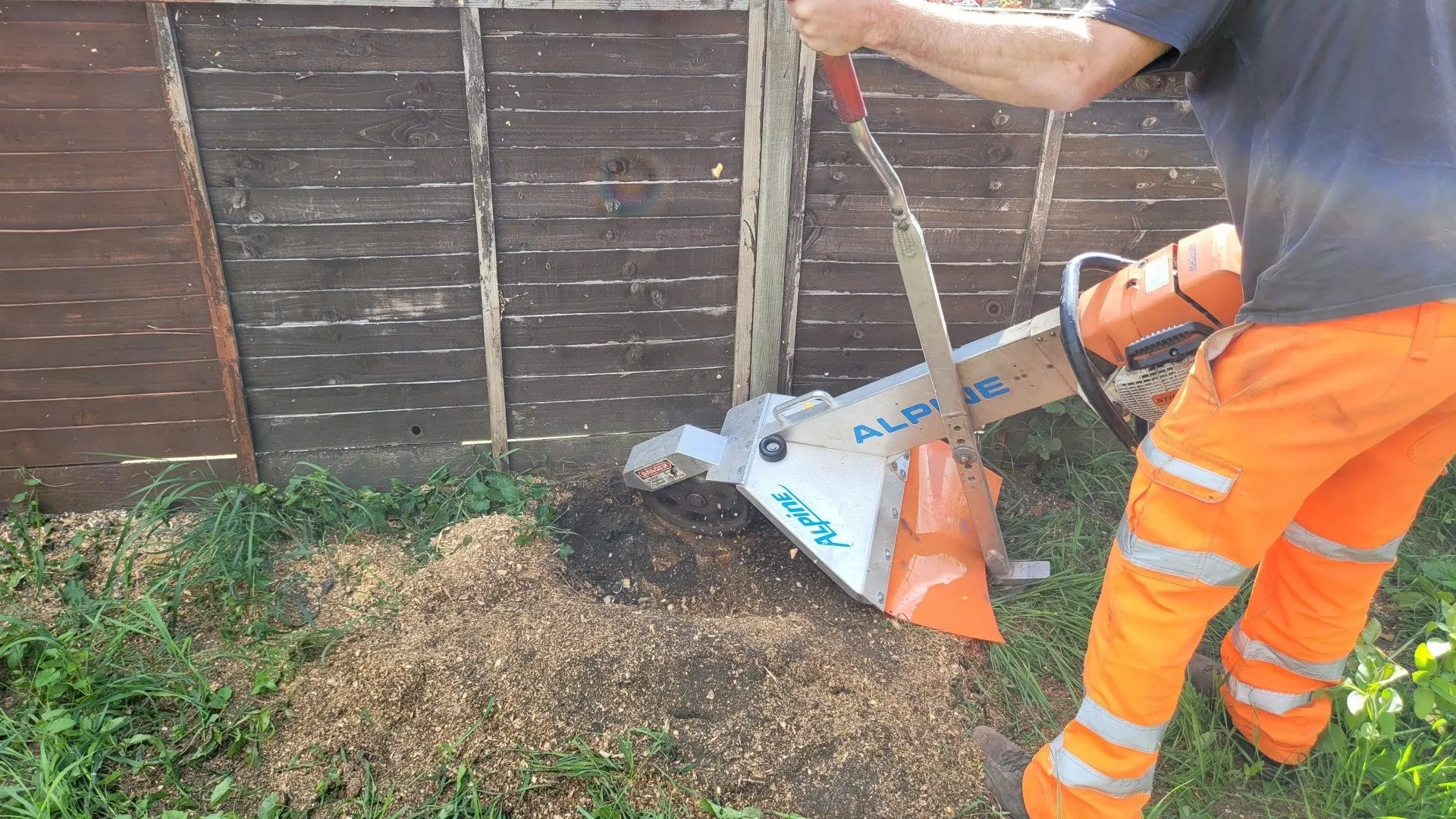 Worker in protective orange clothing using an Alpine stump grinder close to a wooden fence, creating a pile of wood chips.