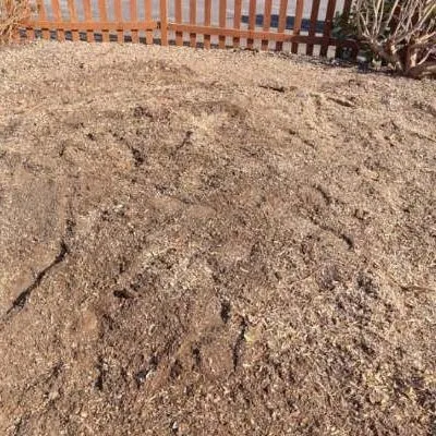 After photo showing the same garden as the previous image with the tree stump removed.