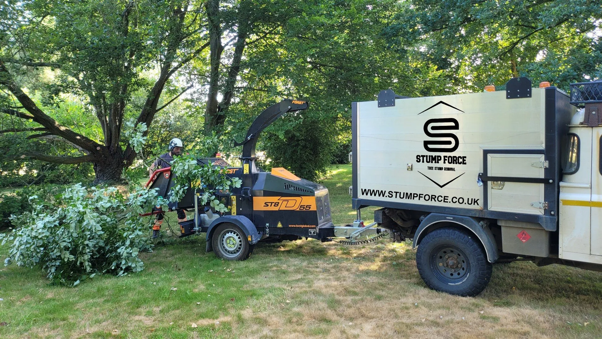 Stump Force van and wood chipper in a park with a worker feeding branches into the machine, surrounded by tall trees.