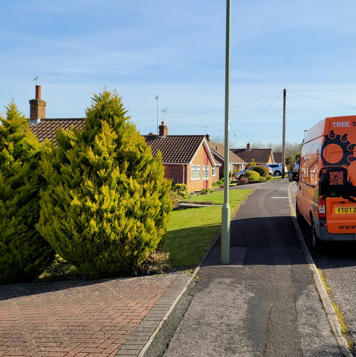 Stump Force van parked in a suburban neighborhood, next to neatly trimmed bushes and red-brick homes.